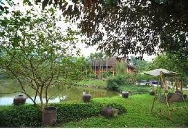 sinh thái Yên Bài Resort - sinh thai Yen Bai Resort