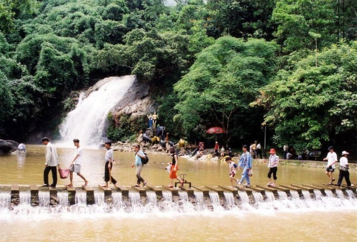 Du lịch Đầm Long – Rừng Bằng Tạ - Du lich Dam Long – Rung Bang Ta