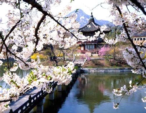 Du lịch Hàn Quốc - Nhật Bản - Du lich Han Quoc - Nhat Ban