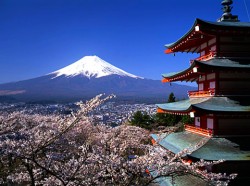 Du lịch Hàn Quốc - Nhật Bản: Tokyo - Núi Phú Sỹ - Kyoto - Osaka - Seul - Evenrland 8 ngày - Du lich Han Quoc - Nhat Ban: Tokyo - Nui Phu Sy - Kyoto - Osaka - Seul - Evenrland 8 ngay